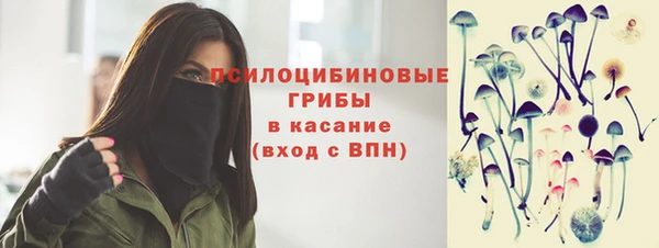 круглые Белокуриха