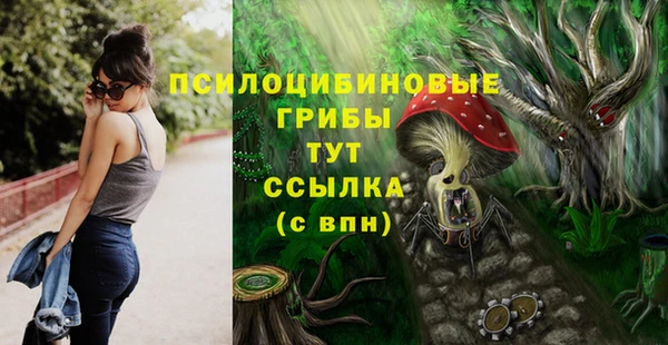 круглые Белокуриха